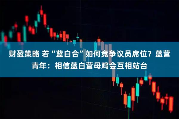 财盈策略 若“蓝白合”如何竞争议员席位？蓝营青年：相信蓝白营母鸡会互相站台