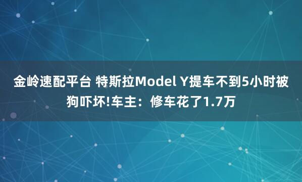金岭速配平台 特斯拉Model Y提车不到5小时被狗吓坏!车主：修车花了1.7万