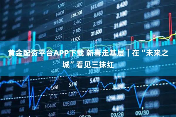 黄金配资平台APP下载 新春走基层｜在“未来之城”看见三抹红