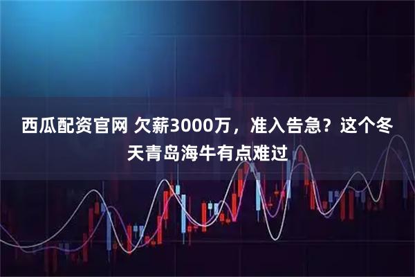 西瓜配资官网 欠薪3000万，准入告急？这个冬天青岛海牛有点难过